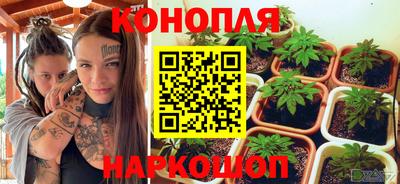 mdpv Брянск