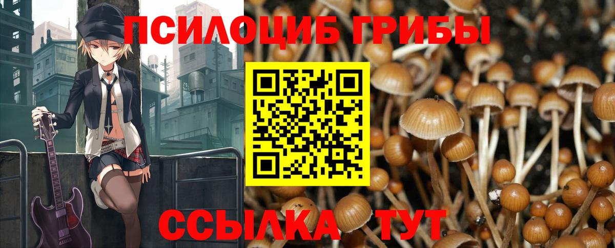 Псилоцибиновые грибы мухоморы Боровичи