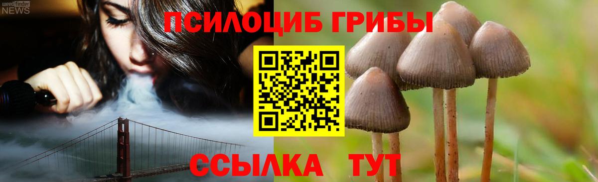 Боровичи  Галлюциногенные грибы мухоморы  Вход с VPN 